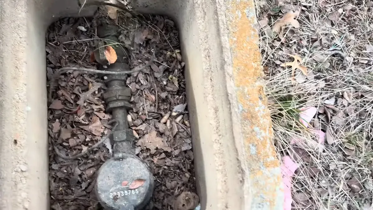 Water meter and shutoff fitting inside a concrete ground box, covered with dry leaves.